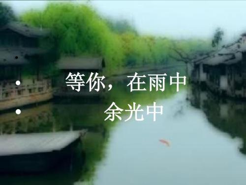 《等你，在雨中》