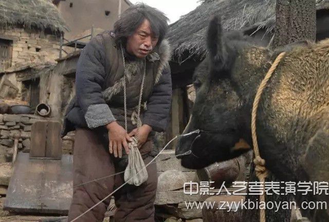黃渤斗牛劇照